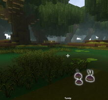 Creativerse Turnip in Swamp53775.jpg