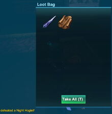 Creativerse leather 2018-09-29 13-31-46-45 night hoglet