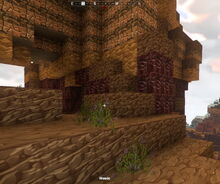 Creativerse weeds 2018-05-30 18-29-30-69