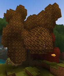 Creativerse autumnwood tree citrus 2019-05-27 12-50-17-83