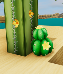 Big pokey cactus dunes.png