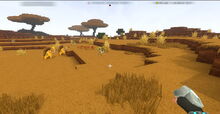 Creativerse Savannah00112.jpg
