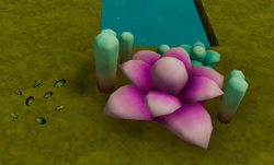 Desert succulent seed and plant.png