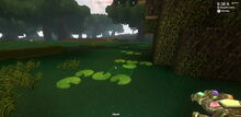 Creativerse lilypad 2018-07-01 21-10-09-71.jpg