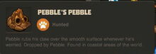 Creativerse pebble's Pebble R23 2772.jpg