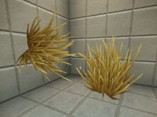 Creativerse shrubs 2018-07-02 15-12-30-11.jpg
