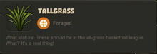 Creativerse Tallgrass.jpg