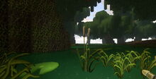 Creativerse cattails 2018-07-01 21-15-00-69.jpg