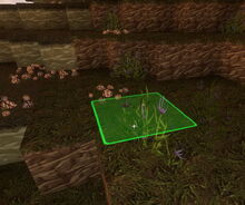 Creativerse weeds 2018-05-30 17-19-30-78.jpg