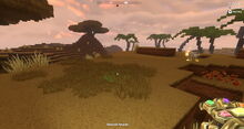 Creativerse savannah tallgrass 2018-07-02 16-33-44-13.jpg