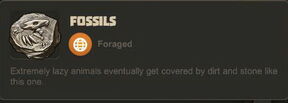 Creativerse Fossils400.jpg