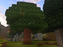 Creativerse cragwood tree grown from sapling 2018-10-16 13-19-17-34