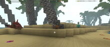 Creativerse Shore18840.jpg