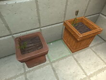 Creativerse cattails in pots 2018-07-02 15-08-40-15.jpg