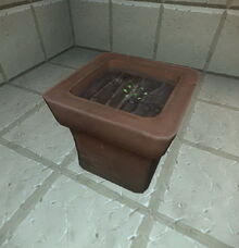 Creativerse flower pot with seeds 2017-08-08.jpg