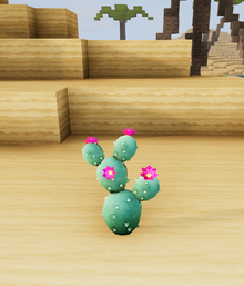 Prickly pal dunes.png