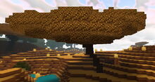 Creativerse parchwood 2019-05-26 23-10-30-32.jpg