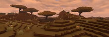 Creativerse savannah parchwood trees 2019-05-03 16-01-30 0140.jpg