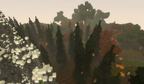 Creativerse Elderwood Autumnwood Cragwood Ashenwood2.jpg