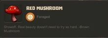 Creativerse Red Mushroom002