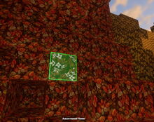 Creativerse autumnwood flower 2018-06-19 18-07-50-27.jpg
