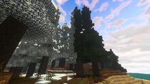 Creativerse elderwood snowy and common 2018-10-16 10-53-57-02