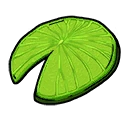 Lily Pad