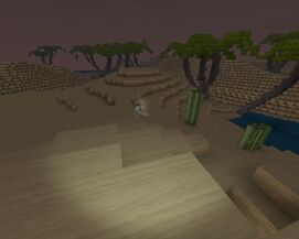 Creativerse Dunes 2017-02-12 17-38-49-99