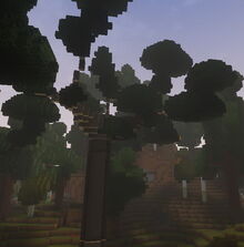 Creativerse Elderwood on old world