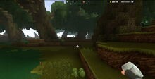 Creativerse Swamp with lettuce002.jpg