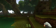 Creativerse Swamp with lettuce002