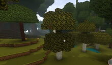 Creativerse Ashenwood doublegrown whysoever.jpg