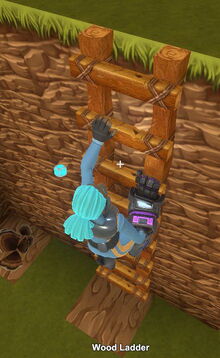 Creativerse wood ladder 2019-02-03 04-08-05-93 climbing images