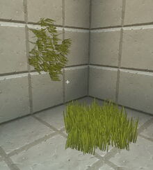 Creativerse tallgrass 2018-07-02 15-12-55-68.jpg