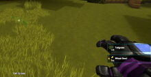 Creativerse tallgrass and wheat seeds 2017-08-12 00-27-55-09.jpg