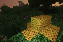 Creativerse beeswax swamp 2017-08-24 03-30-40-29.jpg