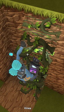 Creativerse vines 2019-02-03 04-10-25-13.jpg