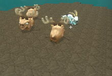 Creativerse Reinbeaus on peakstone 2019-02-01 05-18-04-12.jpg