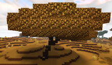 Creativerse parchwood 2019-05-26 23-14-31-76.jpg