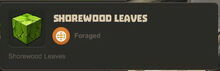 Creativerse Shorewood Leaves R23 6467.jpg