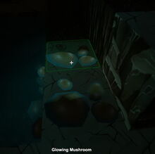 Creativerse glowing mushrooms glowing 2017-08-02 12-35-39-52