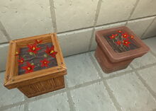 Creativerse tundra flowers potted 2018-06-19 19-22-18-29.jpg