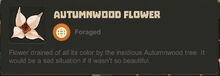 Creativerse Flower Autumnwood.jpg