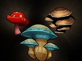 Mushroom