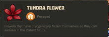 Creativerse Flowers Tundra.jpg