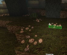 Creativerse Rimecones1030.jpg