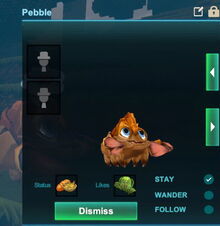 Creativerse pebble pet 2019-01-01 11-52-49-19.jpg