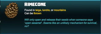 Creativerse 2018-05-30 11-52-19-02.jpg