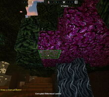 Creativerse corrupted elderwood leaves 2019-05-03 17-41-30 0158 corrupt trees.jpg