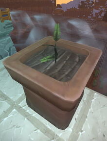 Creativerse sapling flower pot 2017-07-29 11-49-58-83 saplings